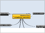 Obstruccion intestinal neonatal - Mapa Mental