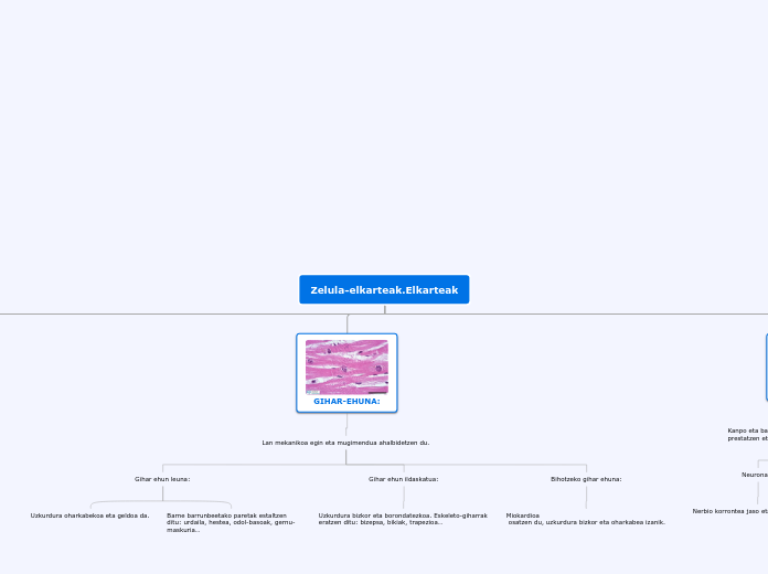 Zelula-elkarteak.Elkarteak - Mind Map