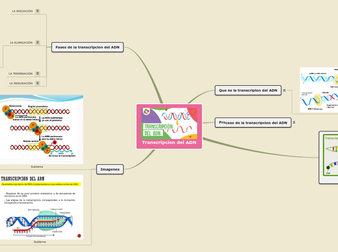 Transcripcion del ADN