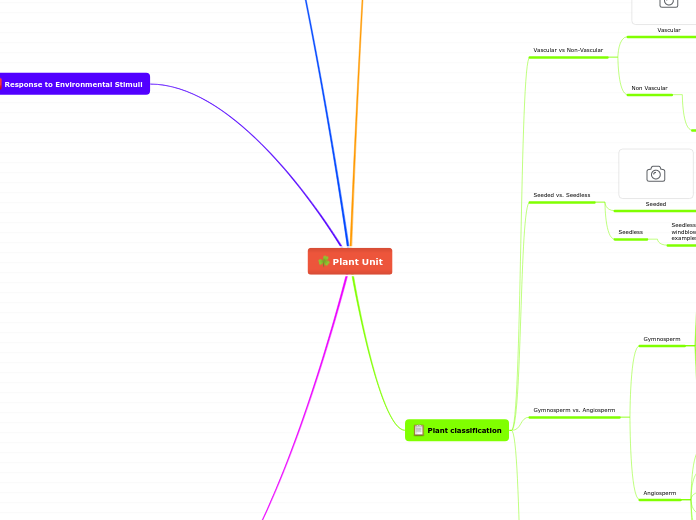 Mind Maps Biology 2021 Grade 11