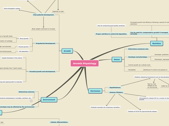 Sample Mind Map