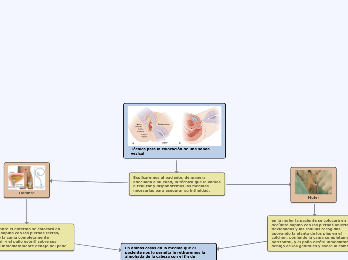 Técnica para la colocación de una sonda vesical