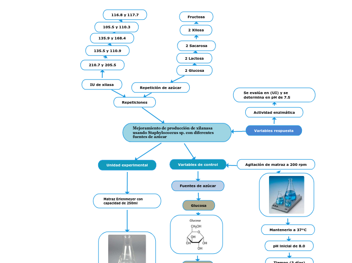 Mejoramiento de producción de xilanasa usando Staphylococcus sp. con diferentes fuentes de azúcar