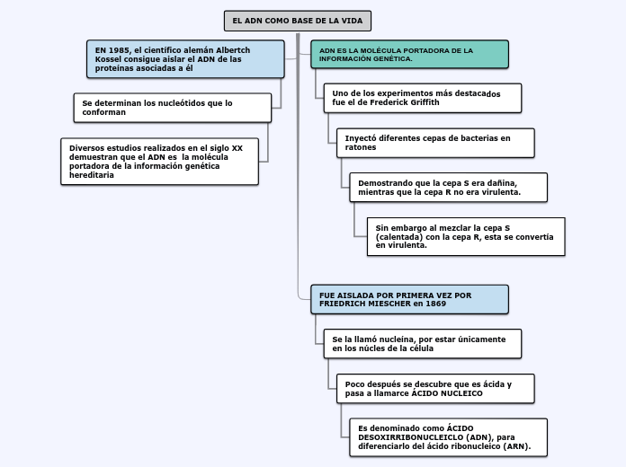 EL ADN COMO BASE DE LA VIDA