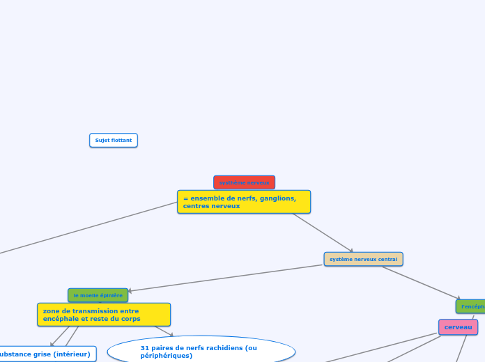systhème nerveux