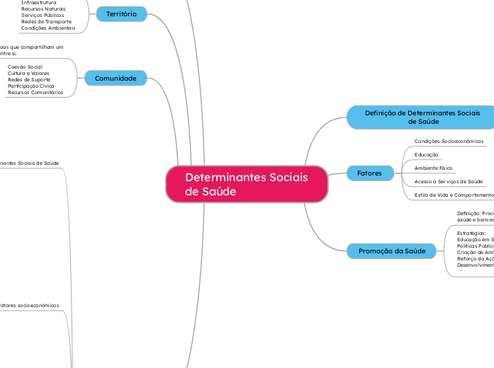 Determinantes Sociais de Saúde