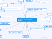 WILHELM WUNDT (1832-1920) - Mapa Mental