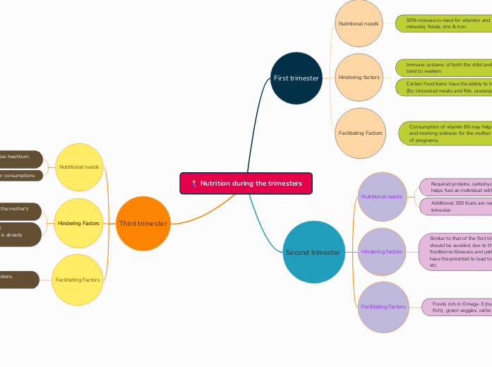 Nutrition during the trimesters