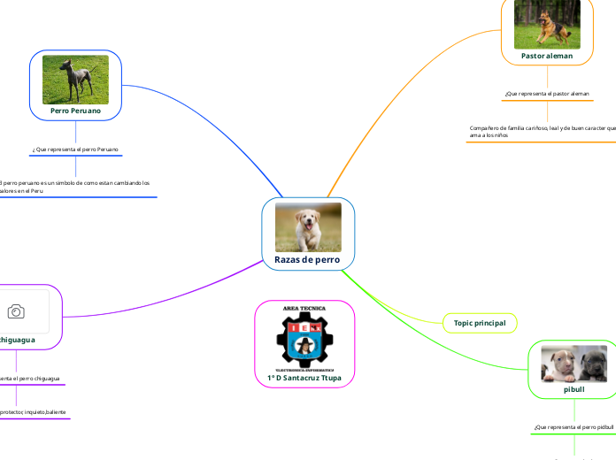 Razas de perro  - Mapa Mental