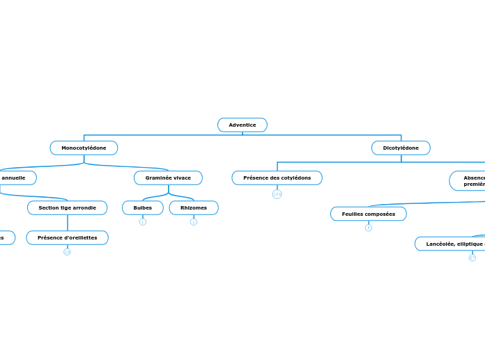 Clé de détermination plantules