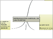 REPRODUCCION ASEXUAL EN LAS PLANTAS