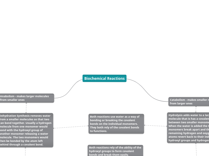 Biochemical Reactions