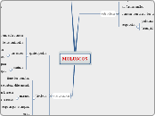 MOLUSCOS - Mapa Mental