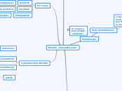 Bioética - Valeria Betancur - Mapa Mental