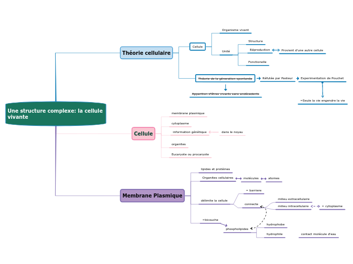 Une structure complexe: la cellule vivante
