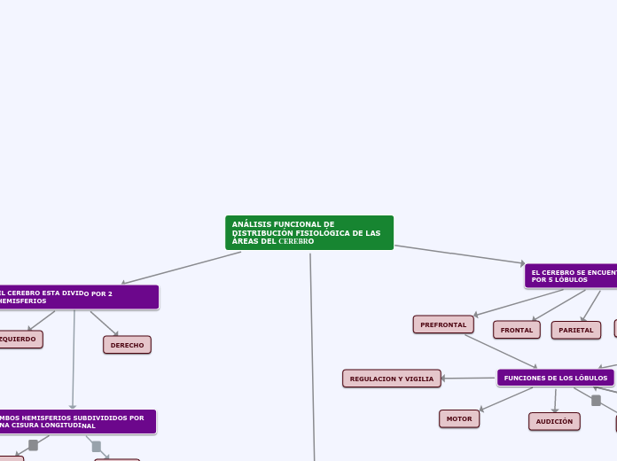 ANÁLISIS FUNCIONAL DE DISTRIBUCIÓN FISIOLÓGICA DE LAS ÁREAS DEL CEREBRO