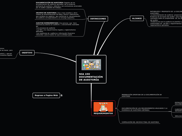 NIA 230 DOCUMENTACIÓN DE AUDITORÍA