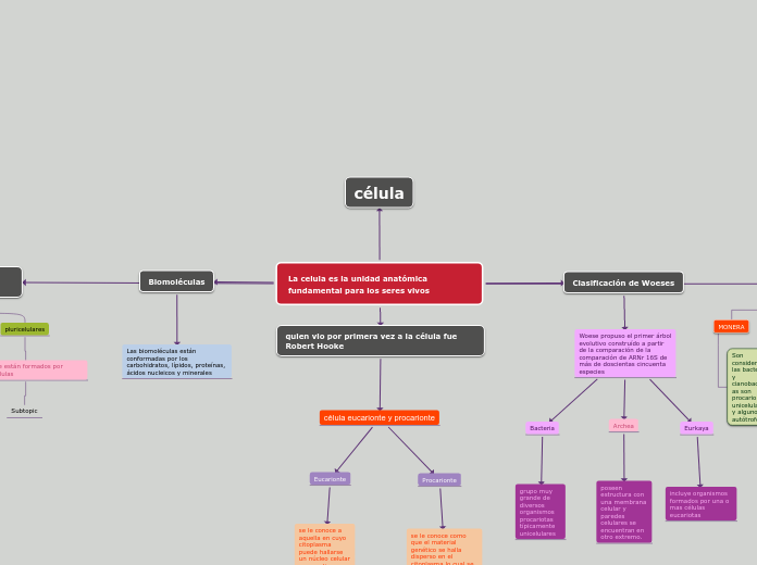 La celula es la unidad anatómica fundam...- Mapa Mental