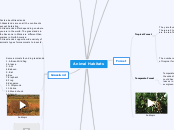 Animal Habitats - Mind Map