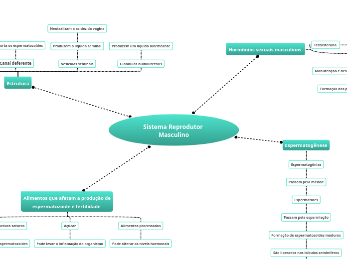 Sistema Reprodutor Masculino