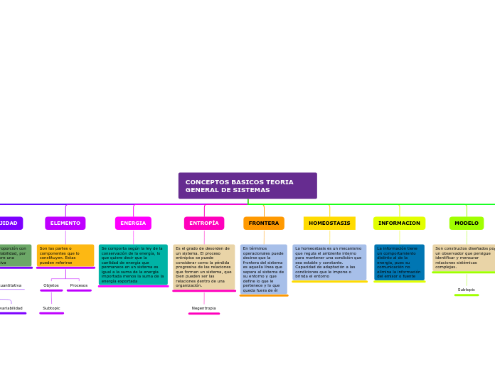 CONCEPTOS BASICOS TEORIA GENERAL DE SISTEMAS