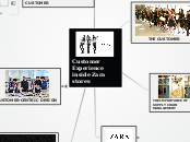 Customer Experience inside Zara stores - Mind Map