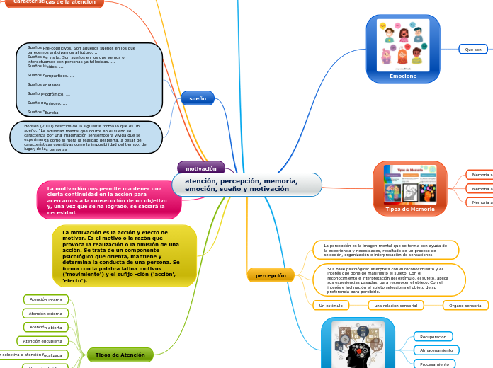 atención, percepción, memoria, emoción, sueño y motivación