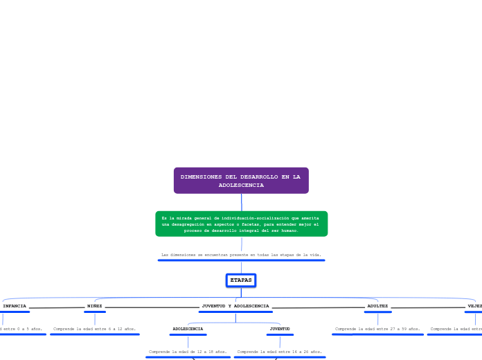 DIMENSIONES DEL DESARROLLO EN ADOLESCENTES