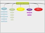 Aeroklub Ziemi Lubuskiej  - Mind Map