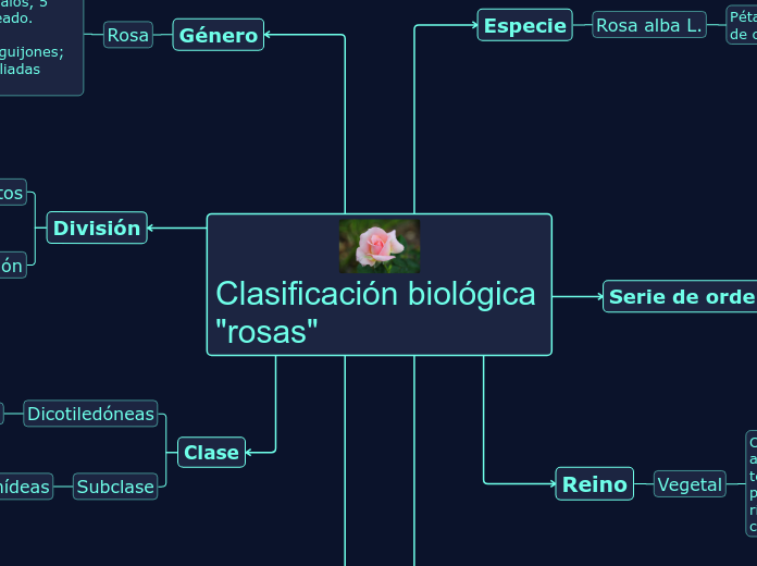 Clasificación biológica        "rosas"