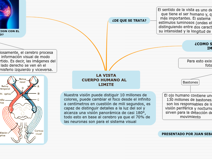 LA VISTA
     CUERPO HUMANO AL        LIMITE