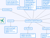 Servicios de un agente aduanal - Mapa Mental