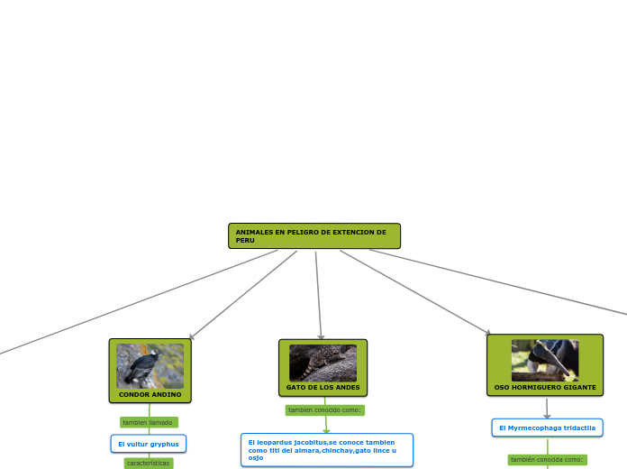 ANIMALES EN PELIGRO DE EXTENCION DE PERU