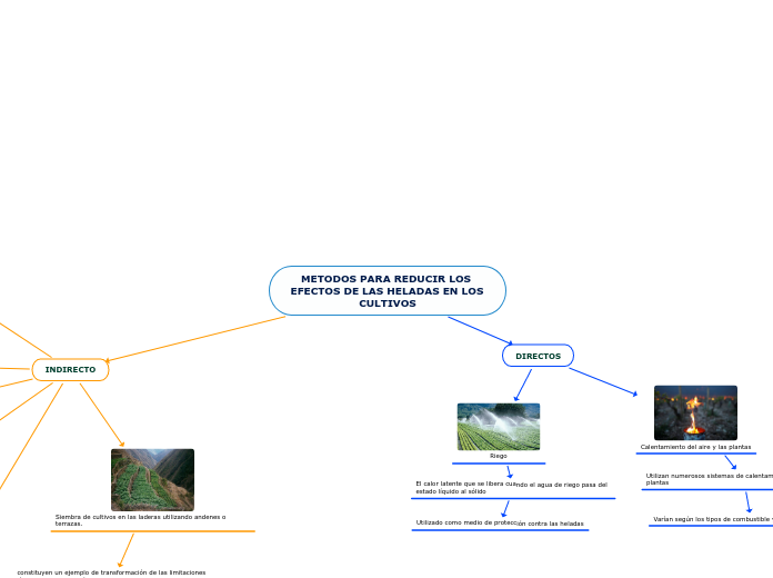 METODOS PARA REDUCIR LOS EFECTOS DE LAS...- Mapa Mental