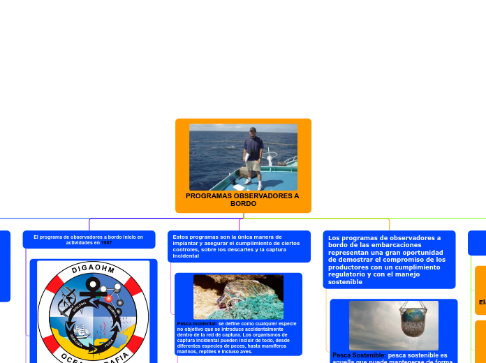 PROGRAMAS OBSERVADORES A BORDO - Mapa Mental
