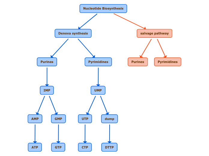 Nucleotide Biosynthesis