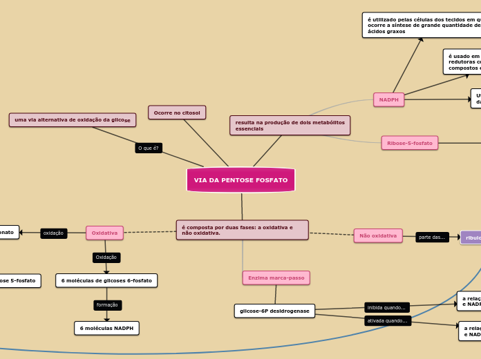 VIA DA PENTOSE FOSFATO - Mapa Mental