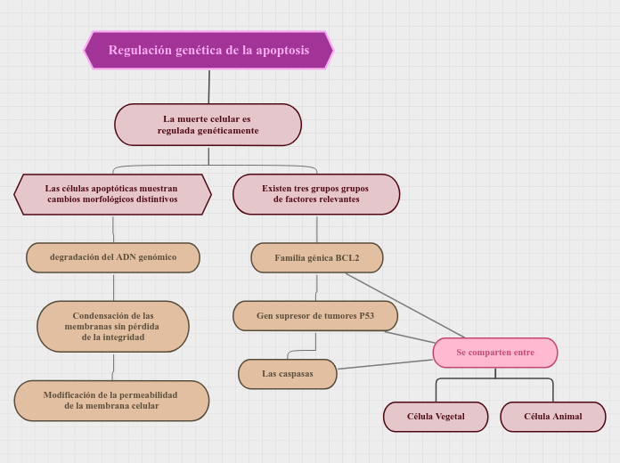 Organigrama