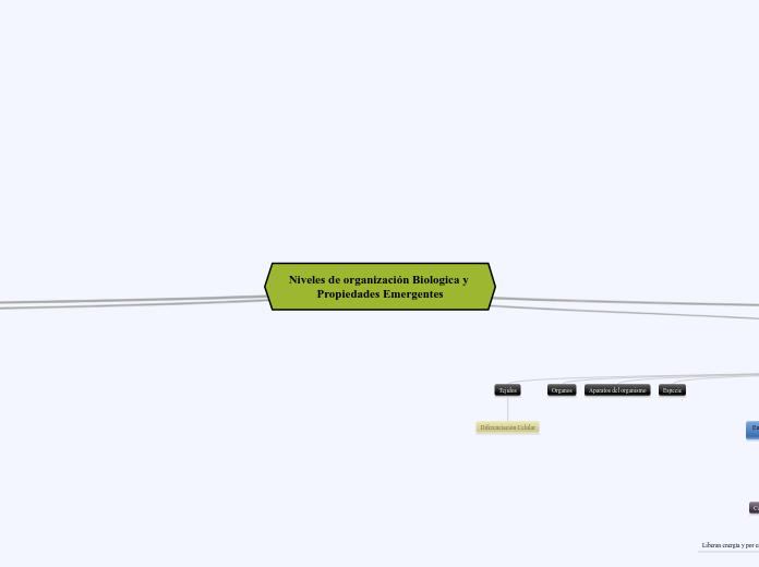 Niveles de organización Biologica y Pro...- Mapa Mental