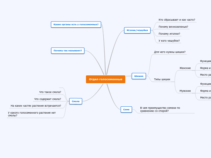 Отдел голосеменные - Мыслительная карта