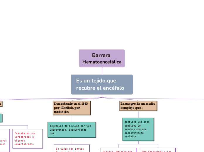 Barrera Hematoencefálica - Mapa Mental