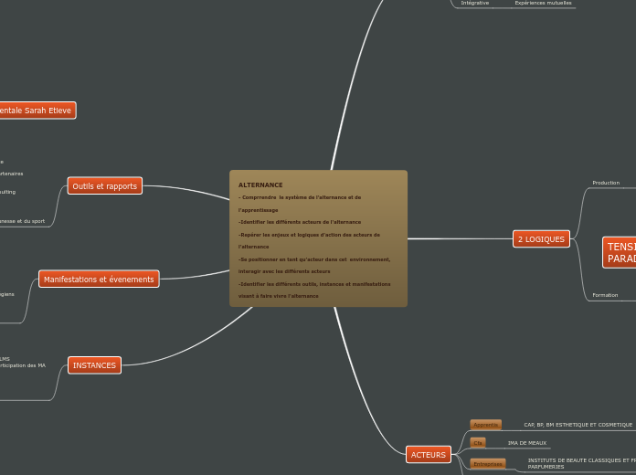 ALTERNANCE                                                                       - Comprrendre  le système de l’alternance et de l’apprentissage
-Identifier les différents acteurs de l'alternance
-Repérer les enjeux et logiques d’action des acteurs de l’alternance
-Se positionner en tant qu’acteur dans cet  environnement, interagir avec les différents acteurs 
-Identifier les différents outils, instances et manifestations visant à faire vivre l'alternance