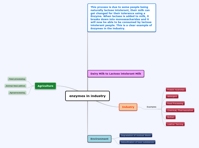 enzymes in industry