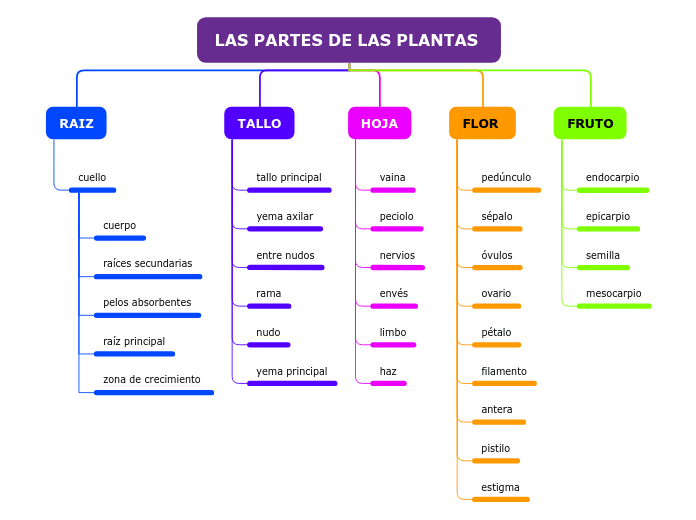 LAS PARTES DE LAS PLANTAS 