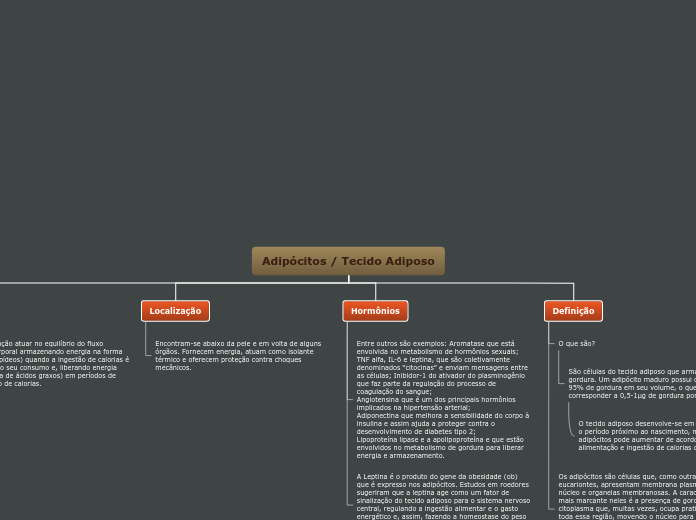 Adipócitos / Tecido Adiposo - Mapa Mental