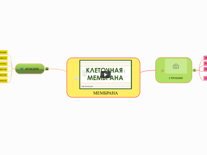 МЕМБРАНА - Мыслительная карта