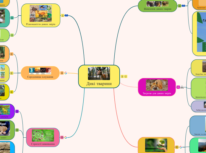 Дикі тварини - Мыслительная карта