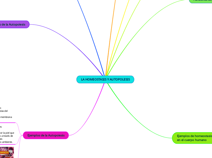 LA HOMEOSTASIS Y AUTOPOLESIS