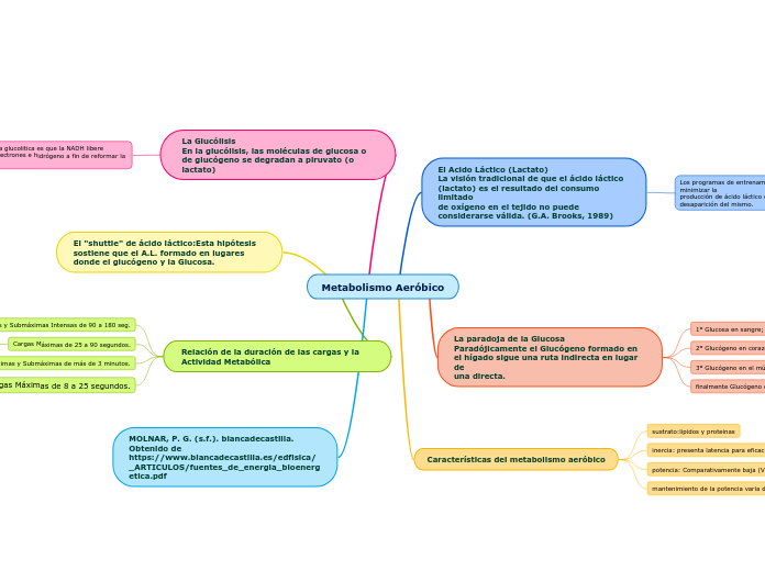 Metabolismo Aeróbico