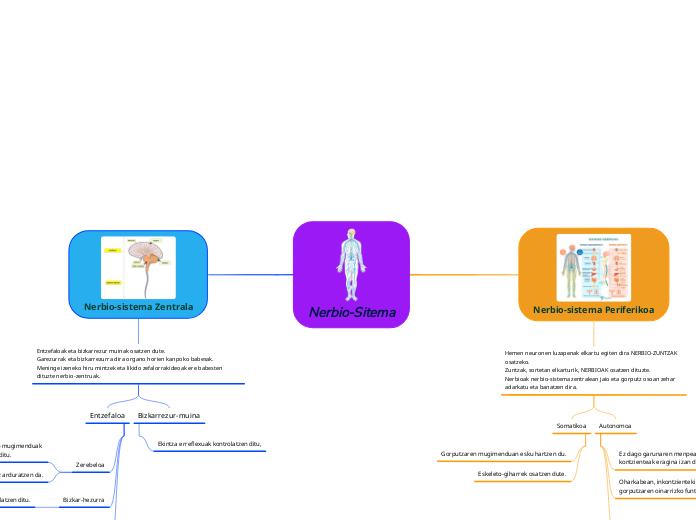 Nerbio-Sitema
